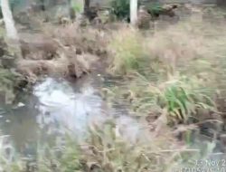 Warga Keluhkan Limbah PT MAS Cemari Lingkungan, DLH Inhu Turun Tangan