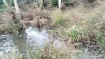 Warga Keluhkan Limbah PT MAS Cemari Lingkungan, DLH Inhu Turun Tangan