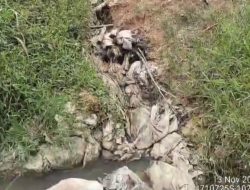 IPAL PKS PT MAS Diduga Overload, Warga Inhu Resah Akibat Bau dan Pencemaran