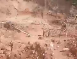 Desa Pulau Godang Kari Marak Peti Merusak Lingkungan, Warga Resah Air Sungai Tercemar   