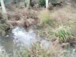 Tanggapan Redaksi Kabaraktual.online atas Hak Jawab PT Multiguna Agro Sejahtera   