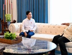 Wapres Gibran Laporkan Hasil KTT G20 kepada Presiden Prabowo   