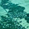 Pemerintah Komitmen Terhadap Kebutuhan Pangan dan Infrastruktur di Aceh