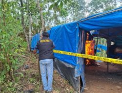 Tim Gabungan Gelar Operasi Penertiban Penambangan Emas Tanpa Izin