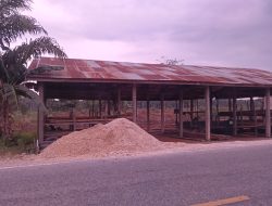 Aktivitas Illegal Logging dan Swomil di Inhil, Ditemukan Masih Marak