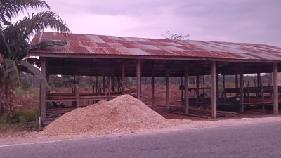 Aktivitas Illegal Logging dan Swomil di Inhil, Ditemukan Masih Marak