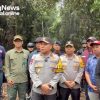 Gajah Liar di Pelalawan Dibunuh, Penanganan Dilakukan Unsur Terkait