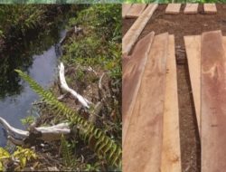 Ilegal Logging Hutan Lindung Tiga Kabupaten Diduga Dikuliti Oknum