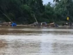Aktivitas Penambangan Emas Kembali Bergerak di Tiga Desa Kuansing