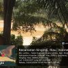 Penambangan Emas Tanpa Izin Merajalela di Muara Lembu, Dukun Santet Alih Profesi