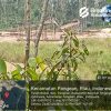 Penambangan Emas Ilegal Masih Beroperasi di Desa Kasang Limau Sundai