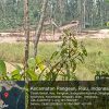 Penambangan Tanpa Izin Ditemukan Di Desa Tanah Bakali Pangean