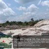 Peti Merajalela di Kuantan Singingi, Lingkungan Semakin Rusak Parah