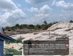 Peti Merajalela di Kuantan Singingi, Lingkungan Semakin Rusak Parah