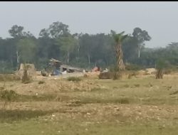 Aktivitas Tambang Emas Ilegal Merusak Lingkungan dan Melanggar Hukum