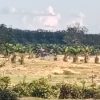 Warga Minta Kapolda Riau Tindak Tegas Tambang Ilegal di Desa Gunung Kesiangan