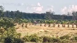 Warga Minta Kapolda Riau Tindak Tegas Tambang Ilegal di Desa Gunung Kesiangan