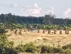 Warga Minta Kapolda Riau Tindak Tegas Tambang Ilegal di Desa Gunung Kesiangan