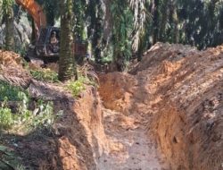 PT Wanasari Nusantara Bantah Tuduhan Perusakan Lahan