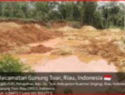 Oknum Anggota DPRD Diduga Lindungi Tambang Emas Ilegal