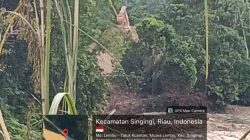 Tiga Alat Berat Milik Abu dan Ang Rusak Lingkungan di Muara Lembu
