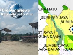 Lahan Hutan Dimanfaatkan Usaha Tanpa Izin Jelas, Ada Apa ?