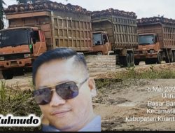PT SAM Terima Hasil Hutan Yang Dilindungi Negara, Ada Apa ?