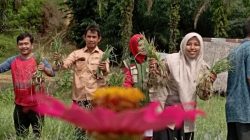 Bawang Merah Hasil Inovasi Dipanen Perdana Oleh Petani di Aceh Singkil