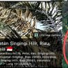 Tanah Persukuan Digarap PETI, Kerusakan Alam Makin Parah di Petai