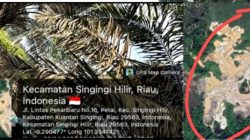 Tanah Persukuan Digarap PETI, Kerusakan Alam Makin Parah di Petai