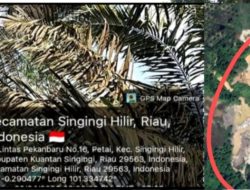 Tanah Persukuan di Garap Untuk Tambang Emas Ilegal Rusak Lingkungan Desa Petai