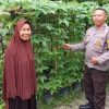 Polsek Singingi Cek Pekarangan Bergizi Dukung Asta Cita
