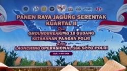 Bupati dan Kapolda Aceh Pimpin Panen Raya Jagung