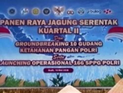 Bupati dan Kapolda Aceh Pimpin Panen Raya Jagung