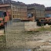 PT SAM Terima Hasil Hutan Yang Dilindungi Negara, Ada Apa ?