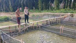Polsek Singingi Cek Kolam Lele Dukung Asta Cita