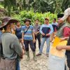 Memanas,! Diduga Langgar Kesepakatan, Warga Sweeping Kebun Luar HGU PT SML