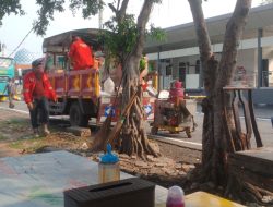 Garis Pembatas Jalur Dibuat, Ketertiban Lalu Lintas Terminal Meningkat