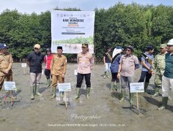Aceh Singkil Tanam Mangrove Peringati Hari Sedunia, Komitmen Menjaga Kelestarian Lingkungan