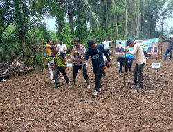 Desa Teratak Baru Tanam Jagung Perkuat Ketahanan Pangan Desa