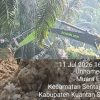 Warga Muara Langsat Lapor Tambang Ilegal Diduga Milik Big Boss Agus