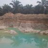 IWO Akan Laporkan Galian C dan PETI di Peladangan INHU