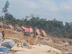 Dugaan Delapan Naga Beking PETI di Empat Kecamatan INHU