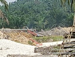 PETI di Muara Langsat Kembali Beroperasi Pasca Penindakan, Ada Apa?