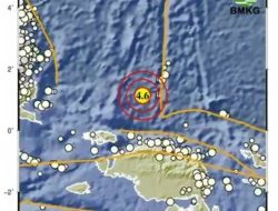 Gempa 4,6 SR Guncang Laut Barat Laut Tambrauw Papua
