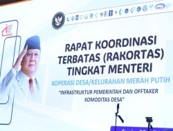 Wamen PANRB Ikut Rapat Operasionalisasi Koperasi Merah Putih