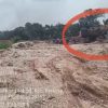 PETI Merajalela di HGU PT BA, Warga Minta Penegakan Hukum