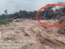 PETI Merajalela di HGU PT BA, Warga Minta Penegakan Hukum