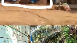 Meja Judi Sitaan Ditemukan di Samping Rumah Ketua RT