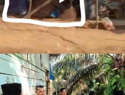 Meja Judi Sitaan Ditemukan di Samping Rumah Ketua RT